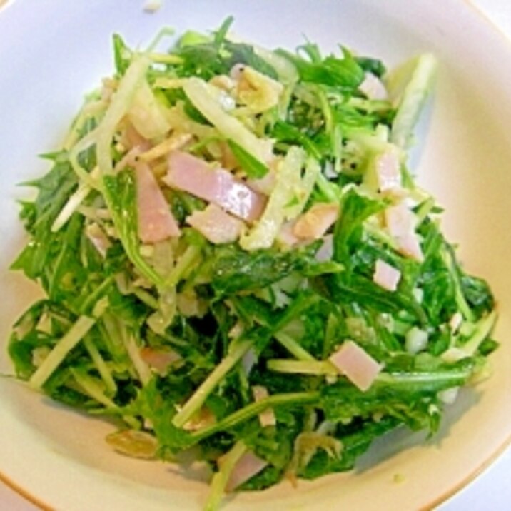 塩麹で作る☆　水菜と春菊のシャキシャキサラダ♪